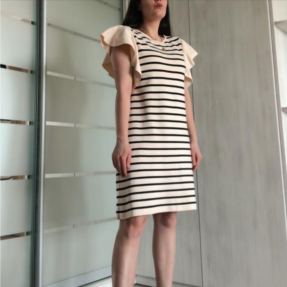 Zara Knit Cream & Black Striped Dress with Ruffle Sleeves